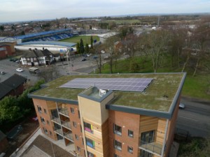 Wrekin Housing Trust - Grass Roof The special roof was supplied by Bauder and installed by their specialist sub contractor M J Green Roofing.