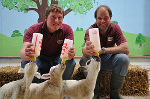 Park Hall Countyside Experience. Park Hall Countyside Experience.