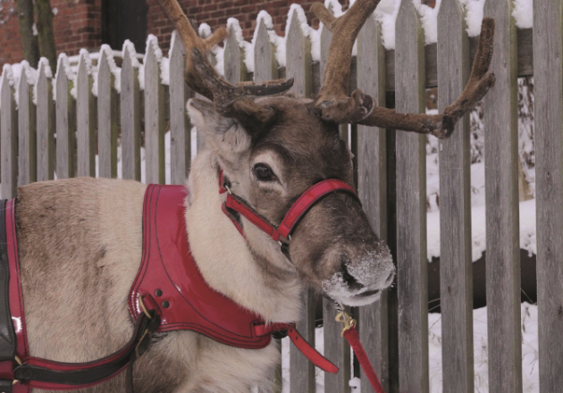 Festive weekends at Blists Hill Victorian Town