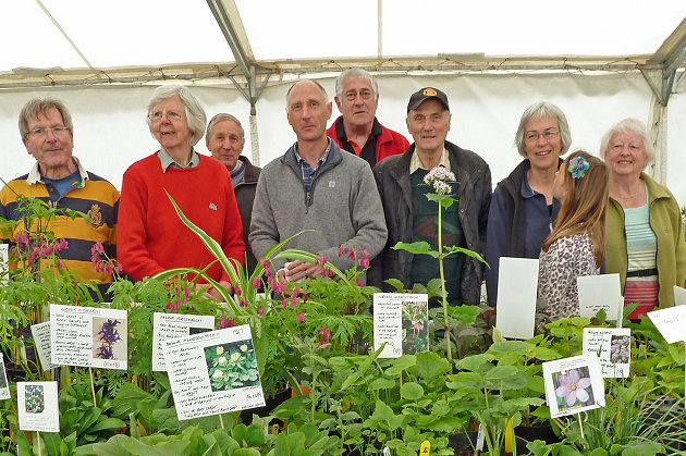 The Welshampton plant growing team with speaker Andrew Humphris in one of the marquees before the sale on Monday.