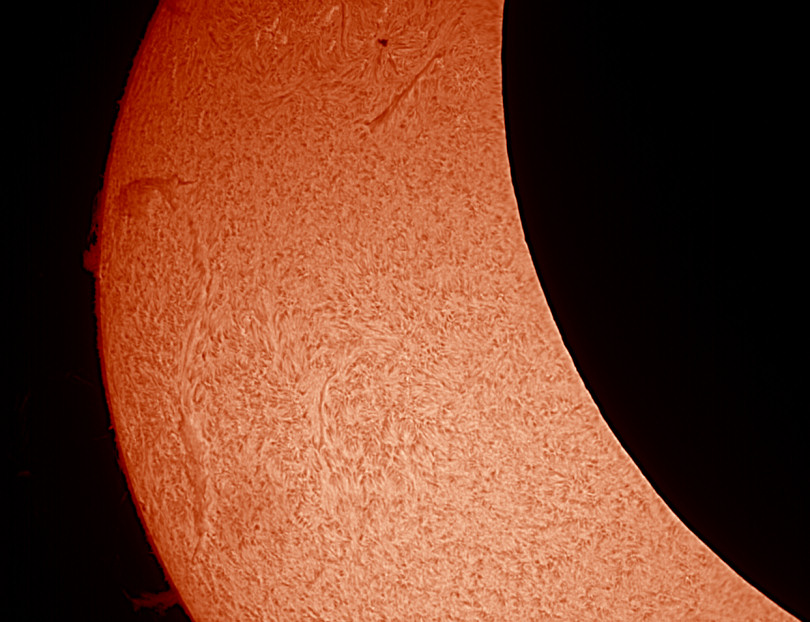 The moon covers 50% of the sun. Photo: Peter J Williamson FRAS