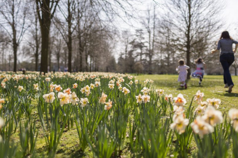 Easter approved image 11 2016 ©National Trust Images Chris Lacey
