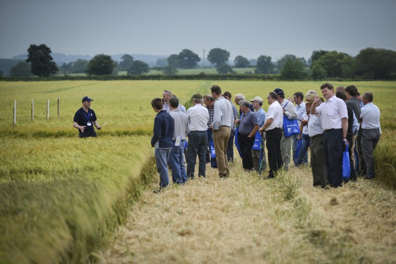 Farmers at this year’s Arable Event will debate the pros and cons of a possible Brexit as well as view seed trial plots