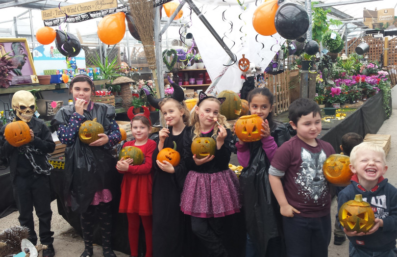 Pumpkin Carving at meadowdale Nurseries