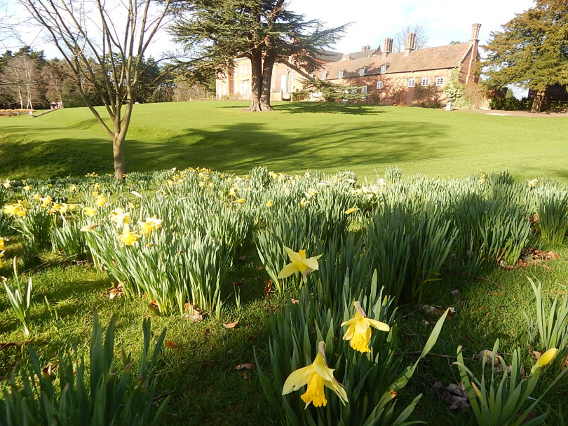 Dudmaston Hall in springtime