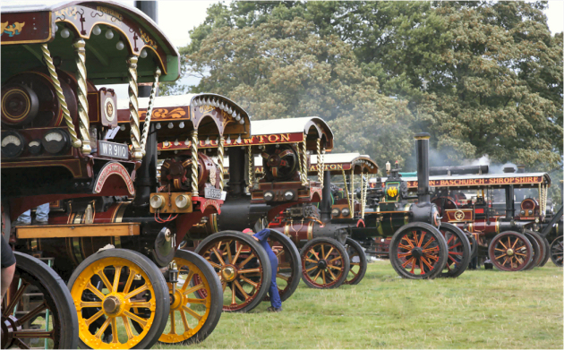 Full steam ahead for County of Salop Steam Engine Society rally