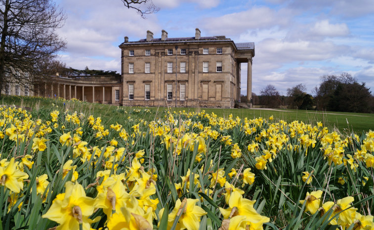 Attingham Park near Shrewsbury. Photo: National Trust