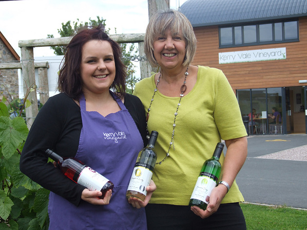 Shropshire vineyard wins three National awards
