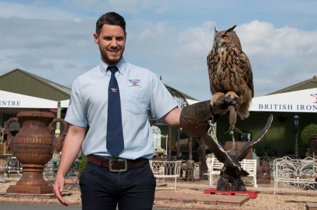 Birds of prey exhibition to take place in Oswestry