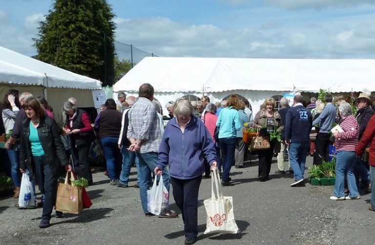 Tenth Welshampton Plant Fair is a record breaker
