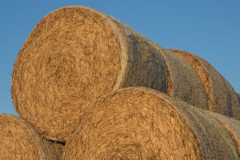 26 tonnes of straw bales stolen from Shropshire field