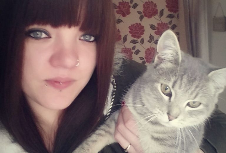 Kitten found cowering at side of M54 is reunited with owner