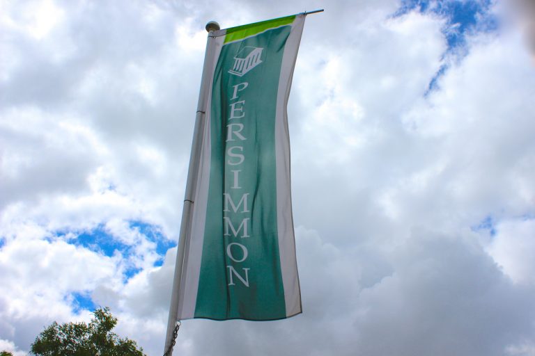 Persimmon Homes lays out plans to build more homes and create new jobs