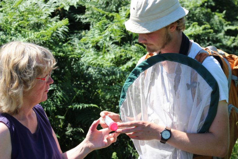 Experts discuss specimens at the Hillfort BioBlitz. Photo: Neil Phillips