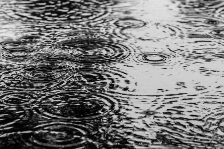 Weather Warning: Heavy rain and strong winds forecast for Shropshire