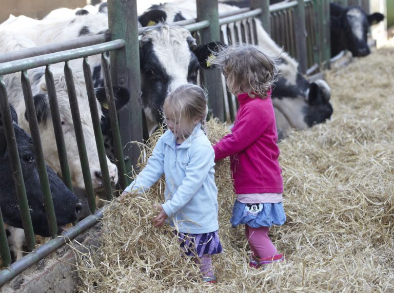 The Farm Walk coincides with National Farm Sunday