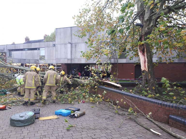 Pedestrian injured after tree falls on footpath in Market Drayton