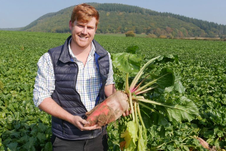 Rhys Owen has joined forage crop specialist Field Options and will cover north Shropshire, Cheshire and north Wales whilst continuing with his role as an agronomist with sister company County Crops