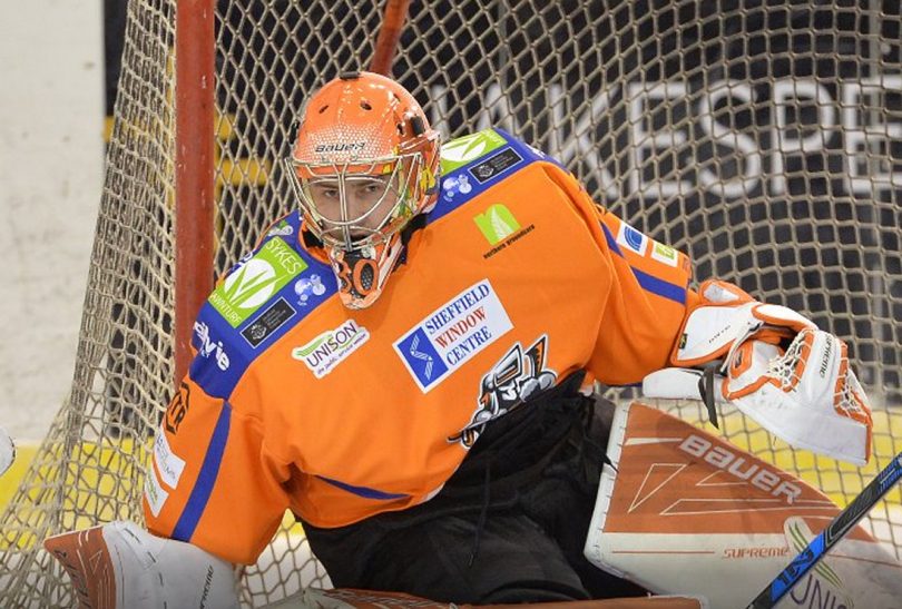 Bradley Day has joined Telford Tigers for the new season. Photo: Sheffield Steelers