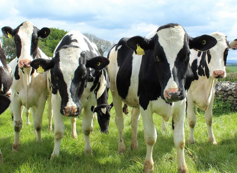 Shropshire to showcase agricultural businesses