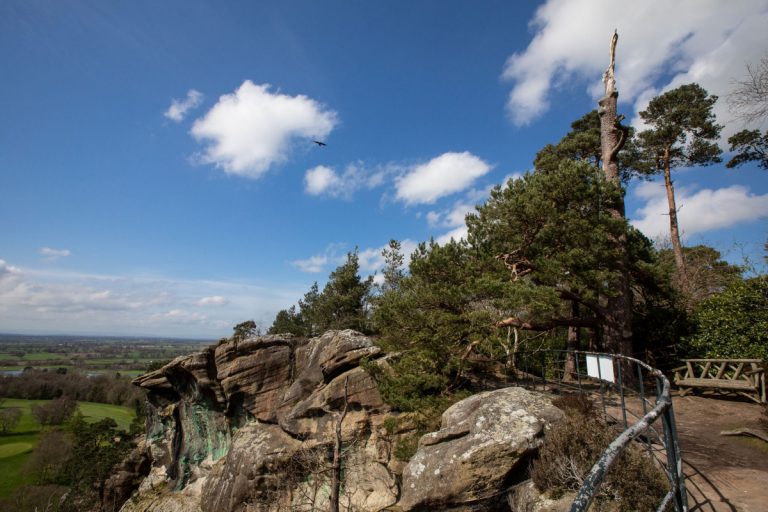 Follies Festival cancels two out of three events due to extreme weather