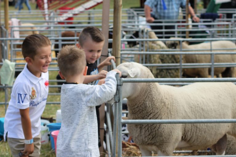 Burwarton Show 2019