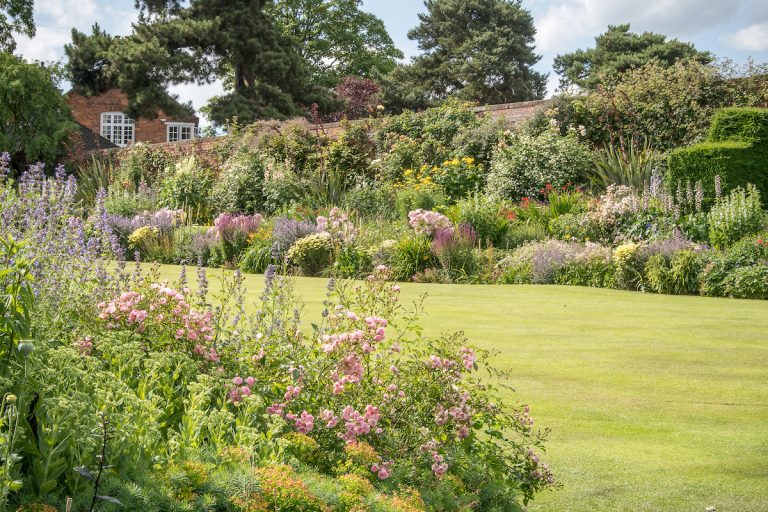The tiered herbaceous borders – a safe haven for many perennials and delicate plants