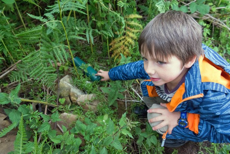 Shropshire-based FSC leaders declare climate emergency