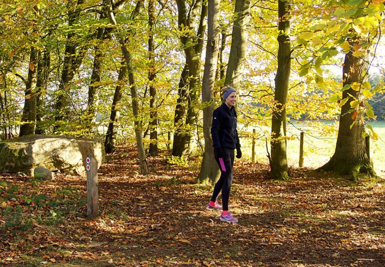 Runners are invited to enjoy a route through Dudmaston’s stunning woodland. Photo: ©National Trust / Natalie Kemp