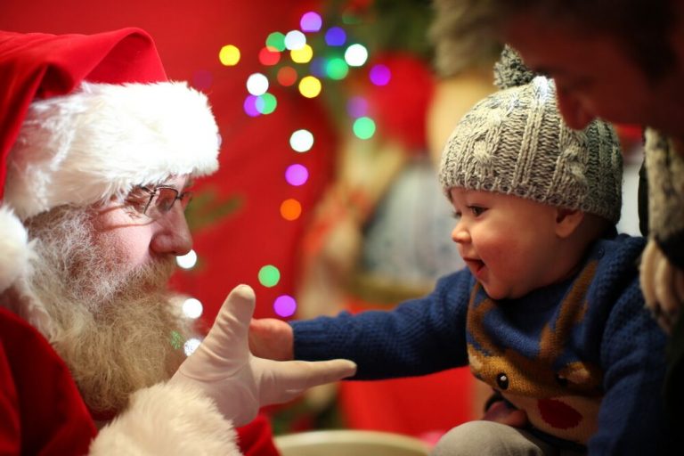 Apley Farm - Father Christmas