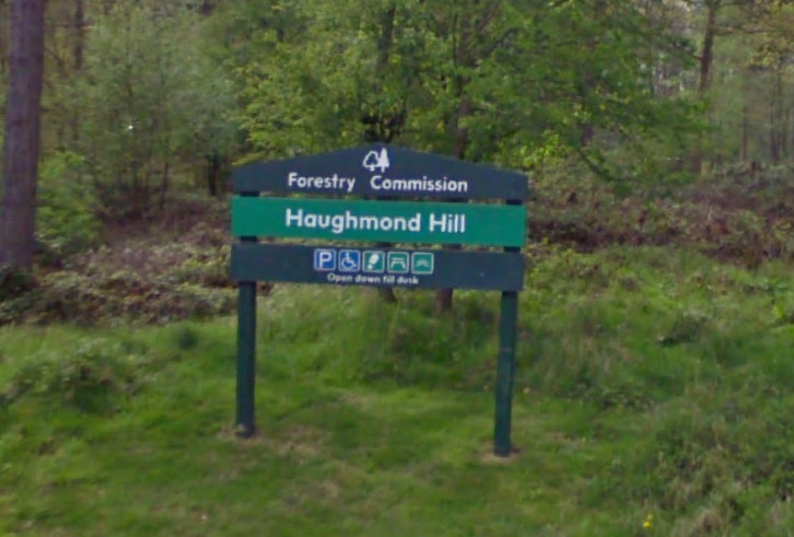 Forestry England is an agency of the Forestry Commission. Image: Google Street View
