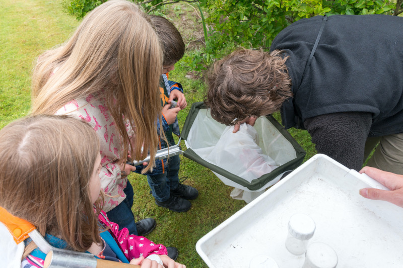 Caption: FSC and Encounter Edu team up to provide live fieldwork lessons