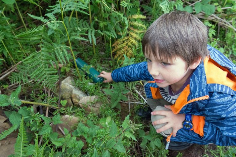 The Field Studies Council has welcomed the Government's easing of outdoor restrictions