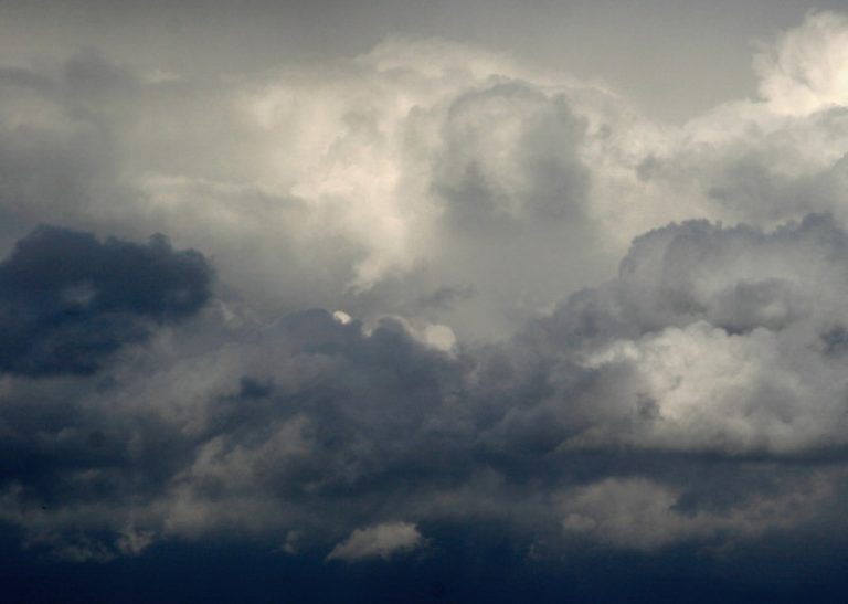 Storm Francis to bring strong winds and rain to Shropshire