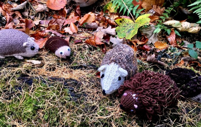 Volunteer knitters are being sought to create creatures for the annual ‘Woollen Woods’ display. Photo: National Trust/Julianne Hatton
