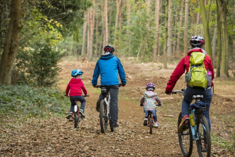 dudmaston hall half term