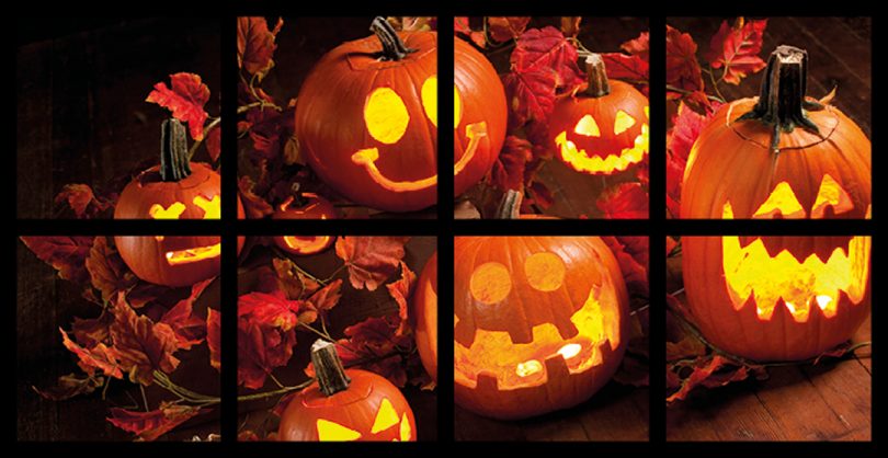 Darwin Centre Free Pumpkin