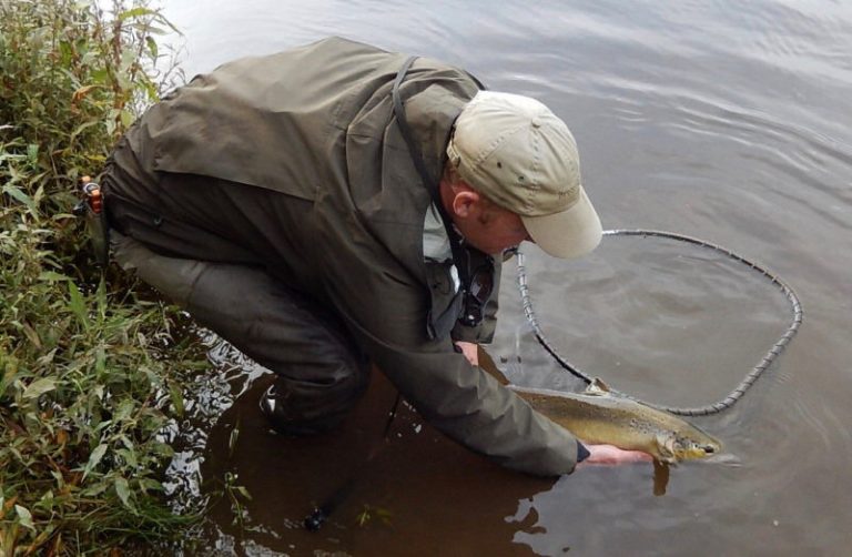 The byelaws now require all salmon caught on rod and line on the Rivers Severn must be released alive with minimum injury and delay