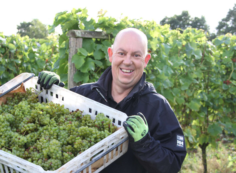 Andrew Longman, Vineyard Supervisor