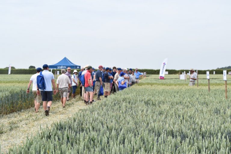 Delegates will be able to tour extensive trial plots at the Arable Event in 2022