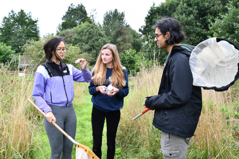 ‘Young Darwin’ scholars undertake invertebrate sampling as part of the environmental training programme