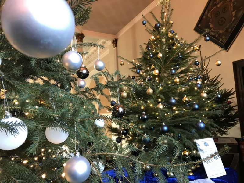 The popular Christmas Tree Festival returns this December