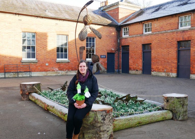 Attingham's snowdrop willow sculpture