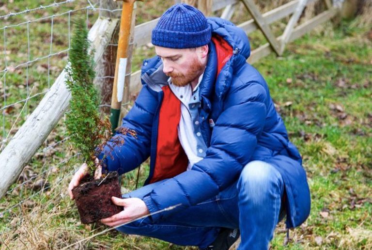 The carbon-neutral accredited brand will plant a total of 1000 trees and shrubs