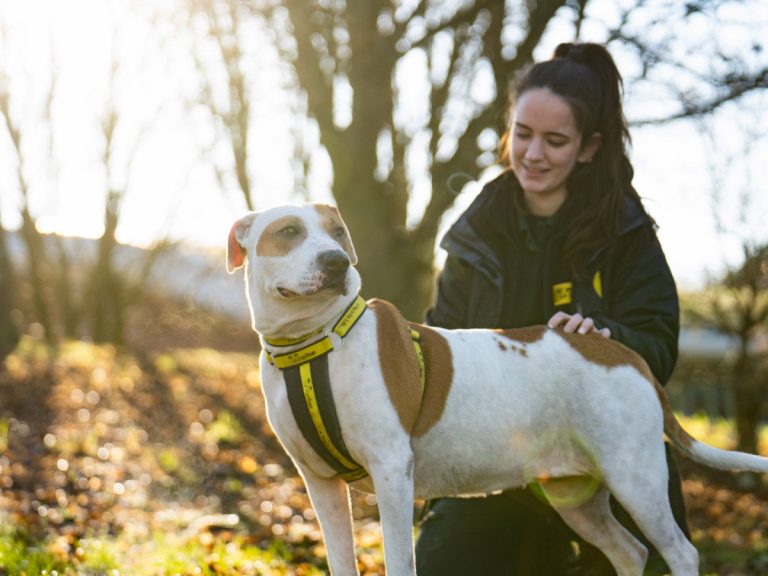 Kluska is looking for a loving home