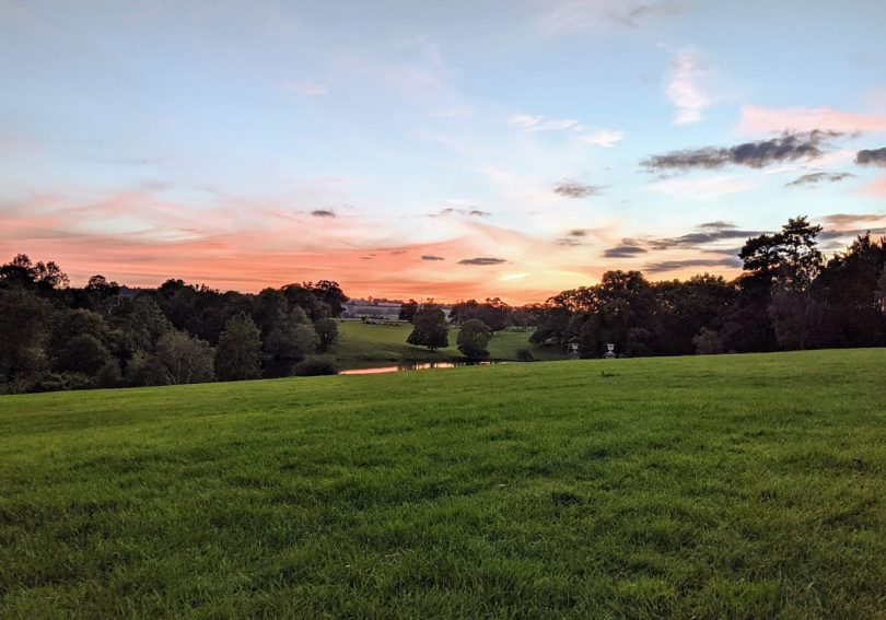 Sunset in the garden at Dudmaston. Photo: Holly Poncini
