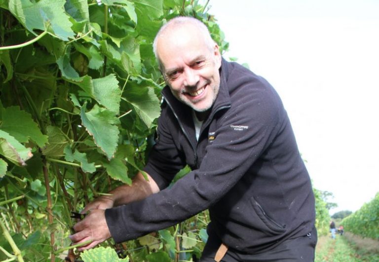 Kerry Vale Vineyard owner Russell Cooke expecting a bumper harvest