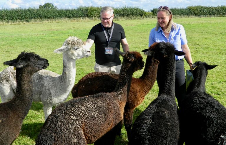 Sam Pryce, The Crossbar Group’s internal operations managers, and Natalie Franklin-Hackett, who runs Frankly Alpacas with her husband John