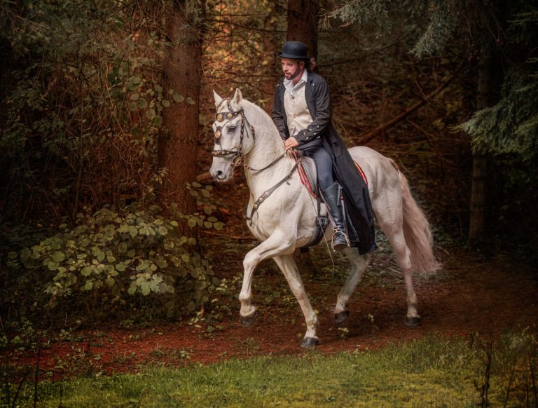 The show is led by director Gallien Gautier, who has performed with some of the best equestrian arts companies around the world