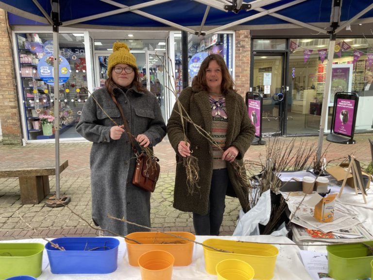 Resident will be able to collect a tree at the Bailey Head this Saturday and next Wednesday
